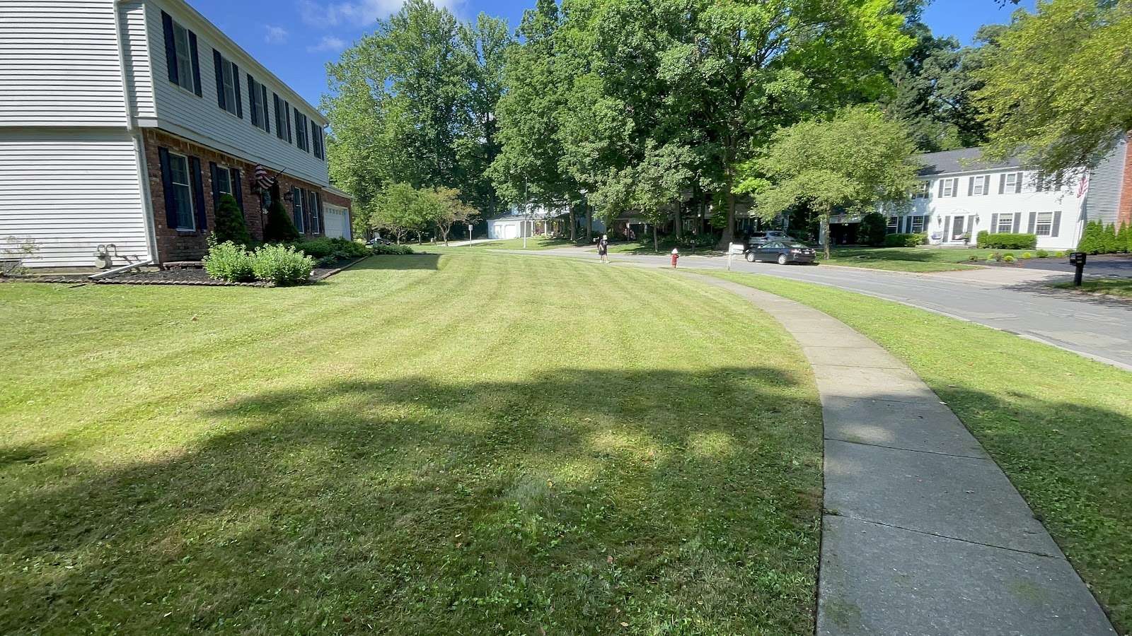 A freshly mown front lawn with visible mowing stripes, curving along a concrete sidewalk beside a two-storey brick and siding house on a tree-lined Toledo street.