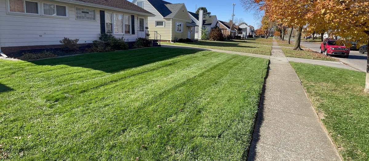 A wide mown lawn with straight stripes running alongside a sidewalk, with a row of houses beyond.
